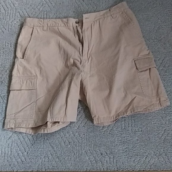 Shorts - Picture 1 of 2